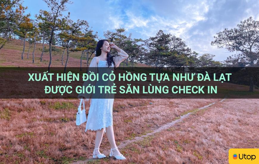 Xuất hiện đồi cỏ hồng tựa như Đà Lạt được giới trẻ săn lùng check in