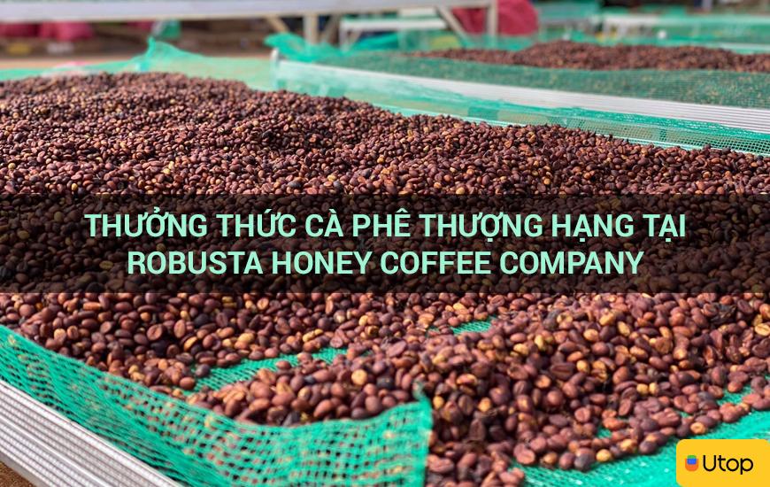 Thưởng thức cà phê thượng hạng tại Robusta Honey Coffee Company