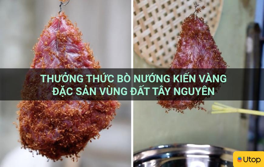 Thưởng thức bò nướng kiến vàng - Đặc sản vùng đất Tây Nguyên