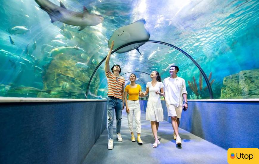 Thủy cung Vinpearl Aquarium Times City