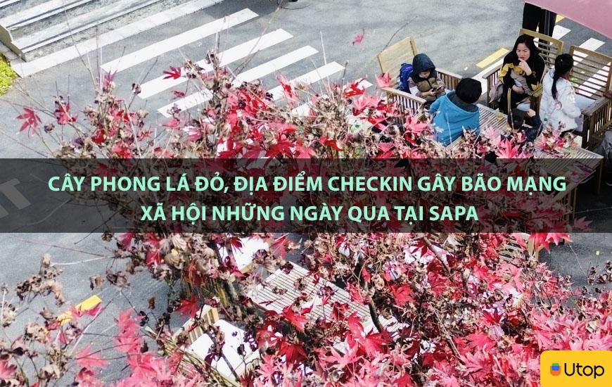 C Y PHONG LÁ ĐỎ, ĐỊA ĐIỂM CHECKIN G Y BÃO MẠNG XÃ HỘI NHỮNG NGÀY QUA TẠI SAPA