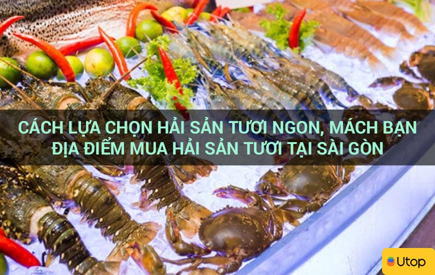 Cách lựa chọn hải sản tươi ngon, mách bạn địa điểm mua hải sản tươi tại Sài Gòn