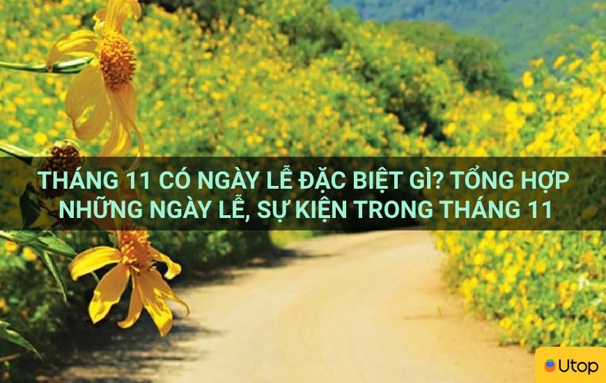 Tháng 11 có ngày lễ gì đặc biệt? Tổng hợp những ngày lễ, sự kiện trong tháng 11
