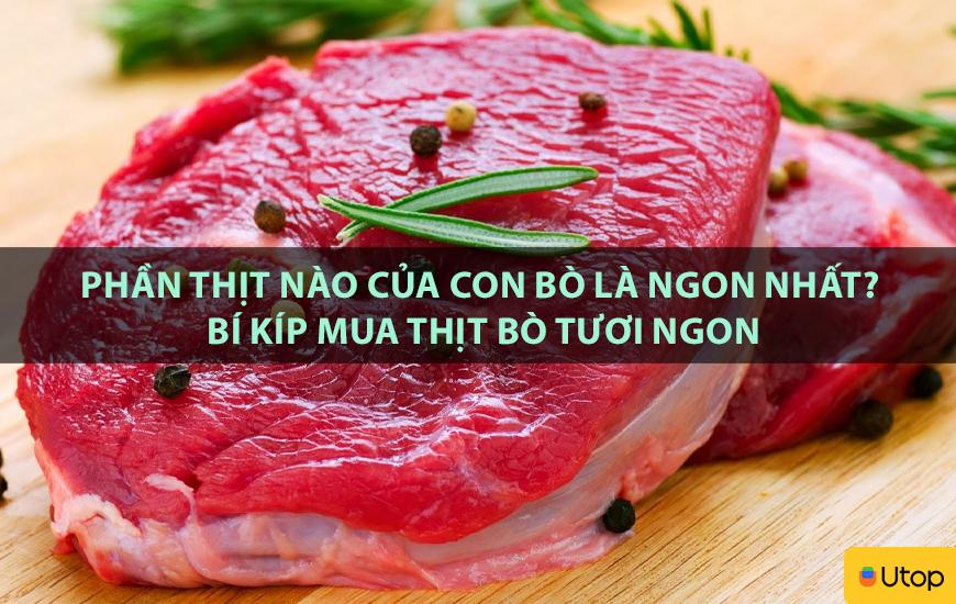 Phần thịt nào của con bò là ngon nhất? Bí kíp mua thịt bò tươi ngon