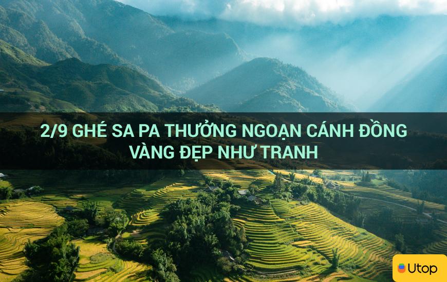 2/9 ghé Sa Pa thưởng ngoạn cánh đồng vàng đẹp như tranh