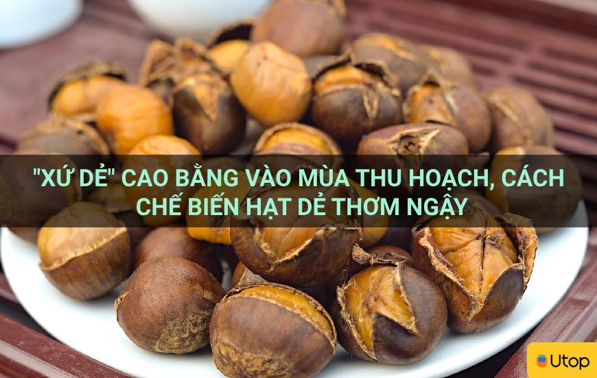 "Xứ dẻ" Cao Bằng vào mùa thu hoạch, cách chế biến hạt dẻ thơm ngậy
