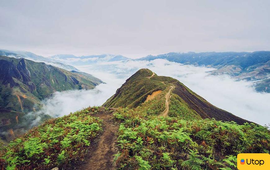 Giới thiệu về Tà Xùa