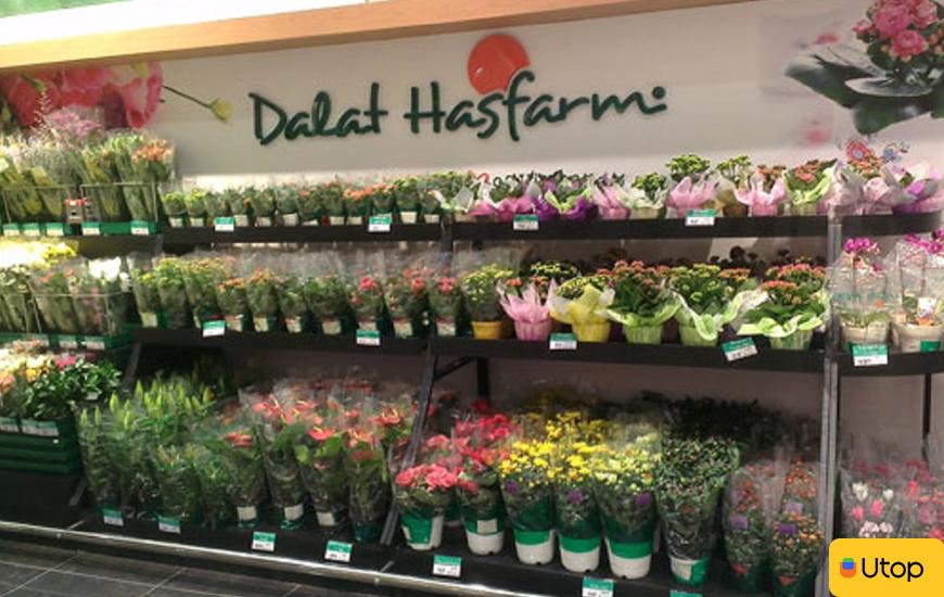 Dalat Hasfarm