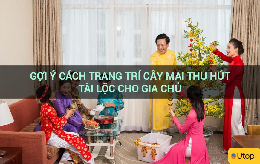 Gợi ý cách trang trí cây mai thu hút tài lộc cho gia chủ