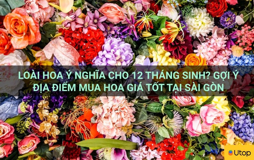 Loài hoa ý nghĩa cho 12 tháng sinh? Gợi ý địa điểm mua hoa giá tốt tại Sài Gòn