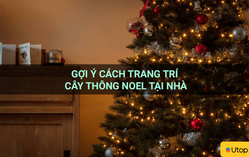 Gợi ý cách trang trí cây thông noel tại nhà